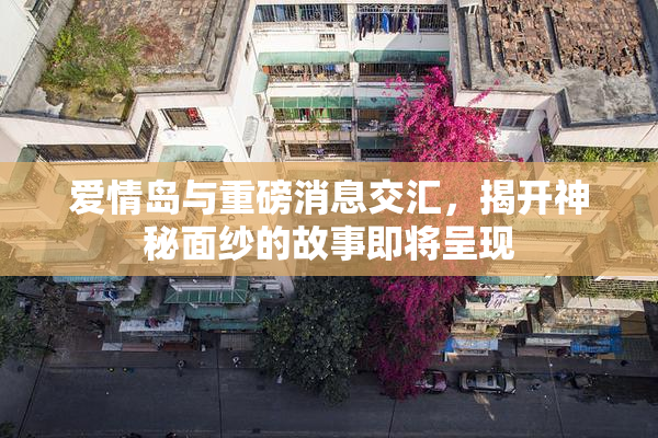 爱情岛与重磅消息交汇，揭开神秘面纱的故事即将呈现