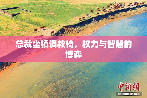 总裁坐镇调教椅，权力与智慧的博弈