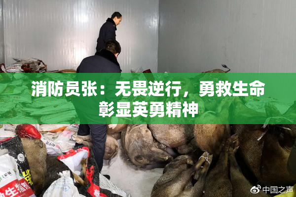 消防员张：无畏逆行，勇救生命彰显英勇精神