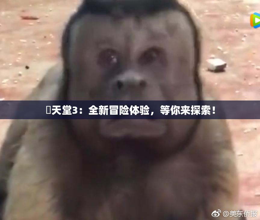 妺天堂3：全新冒险体验，等你来探索！