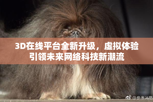 3D在线平台全新升级，虚拟体验引领未来网络科技新潮流