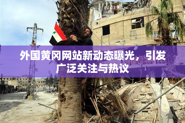 外国黄冈网站新动态曝光，引发广泛关注与热议
