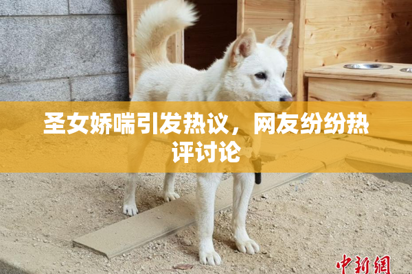 圣女娇喘引发热议，网友纷纷热评讨论