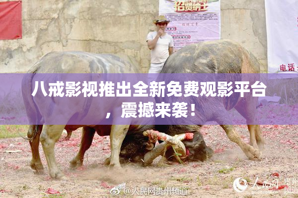 八戒影视推出全新免费观影平台，震撼来袭！