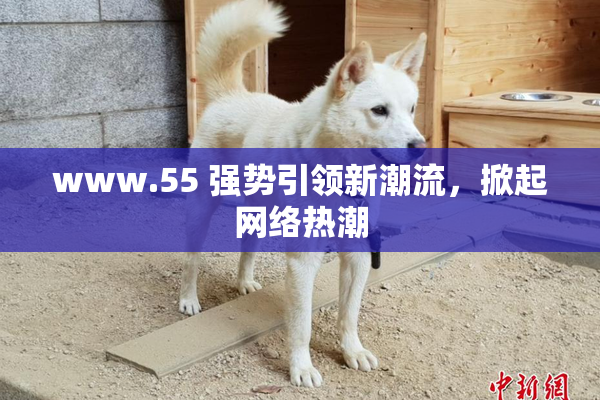 www.55 强势引领新潮流，掀起网络热潮