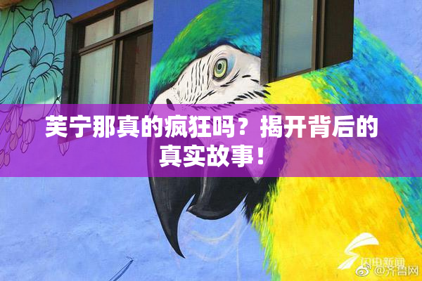 芙宁那真的疯狂吗？揭开背后的真实故事！