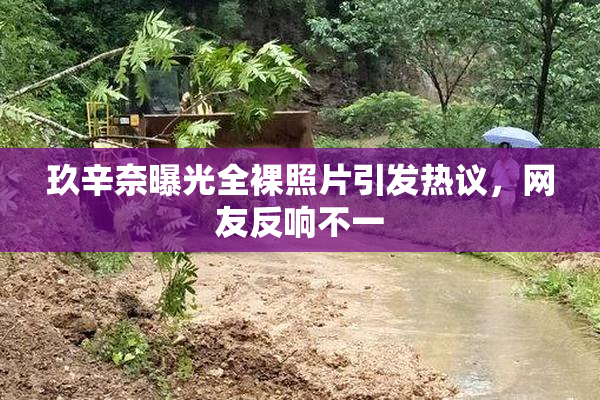 玖辛奈曝光全裸照片引发热议，网友反响不一