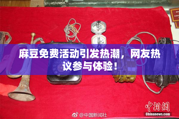 麻豆免费活动引发热潮，网友热议参与体验！