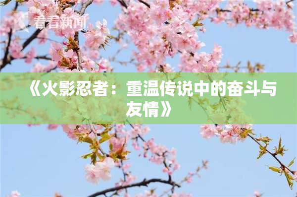 《火影忍者：重温传说中的奋斗与友情》
