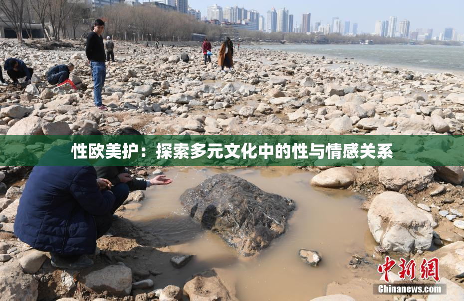 性欧美护：探索多元文化中的性与情感关系