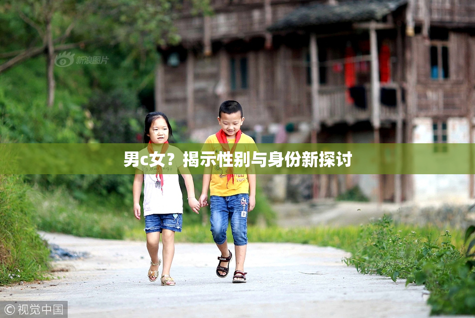 男c女？揭示性别与身份新探讨