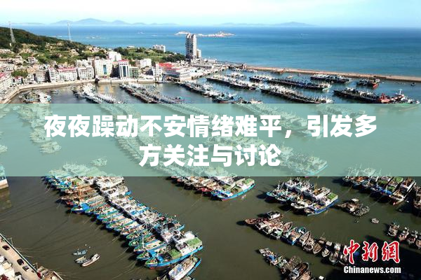 夜夜躁动不安情绪难平，引发多方关注与讨论