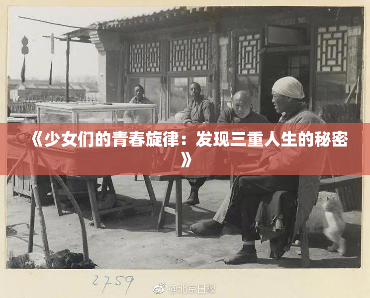 《少女们的青春旋律：发现三重人生的秘密》