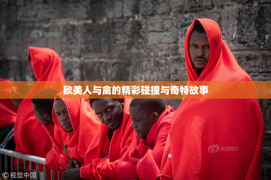 欧美人与禽的精彩碰撞与奇特故事