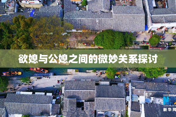 欲媳与公媳之间的微妙关系探讨