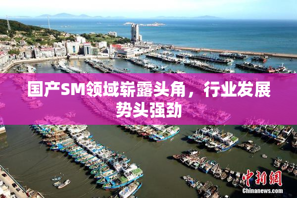 国产SM领域崭露头角，行业发展势头强劲