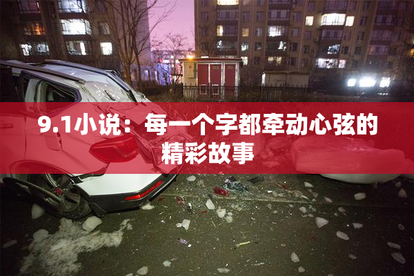 9.1小说：每一个字都牵动心弦的精彩故事