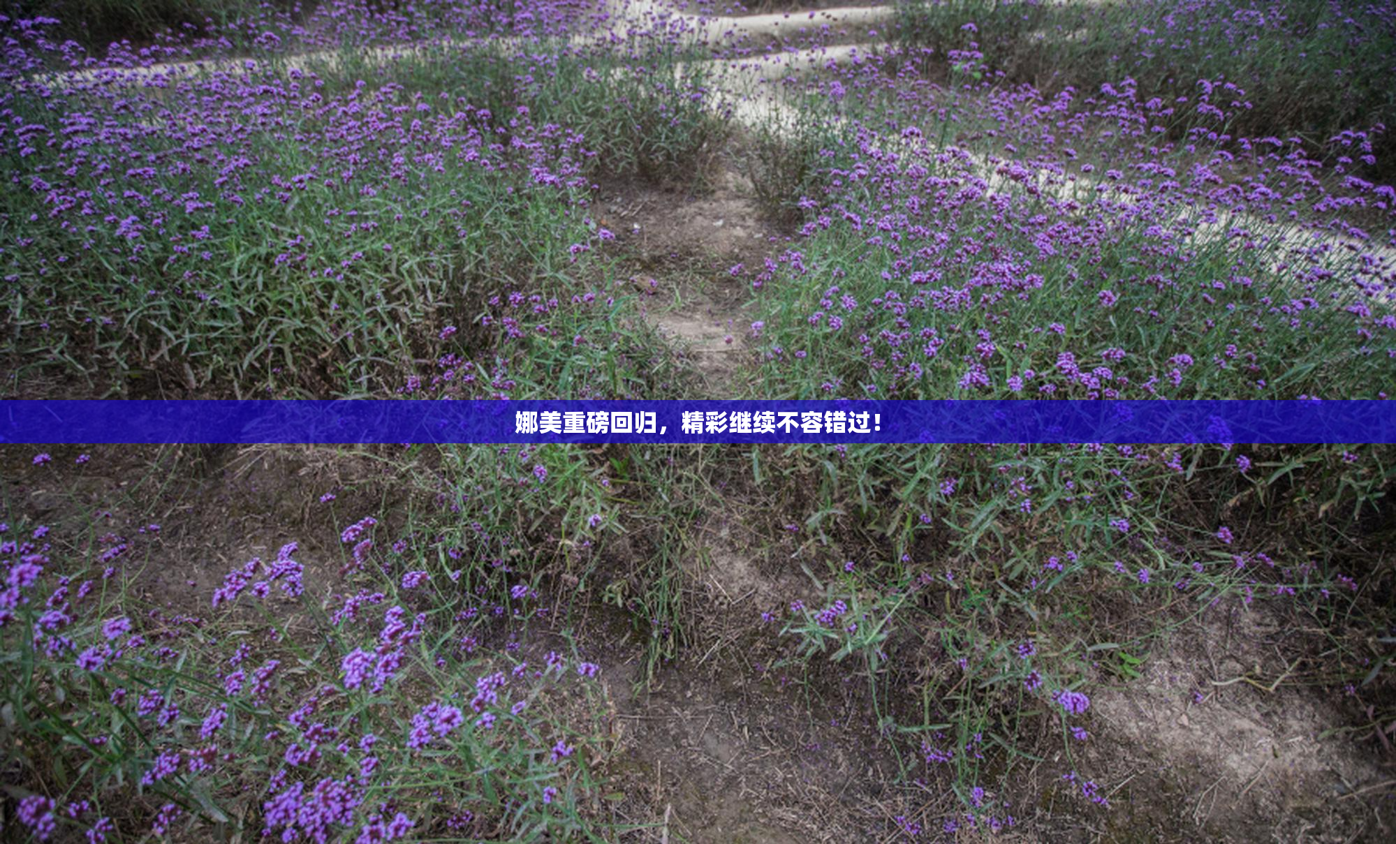 娜美重磅回归，精彩继续不容错过！