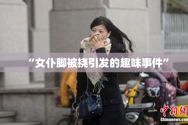 “女仆脚被挠引发的趣味事件”