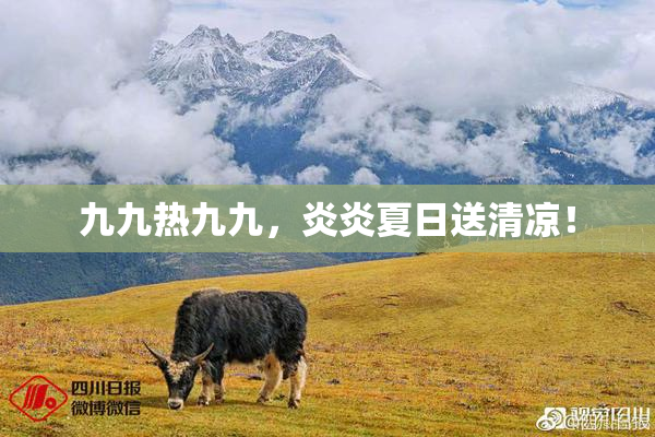 九九热九九，炎炎夏日送清凉！