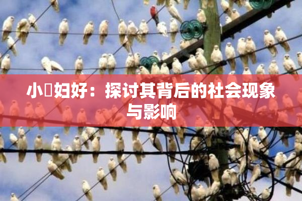 小婬妇好：探讨其背后的社会现象与影响