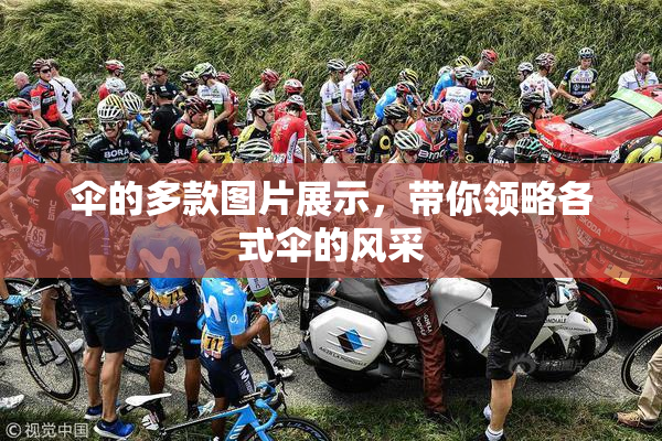伞的多款图片展示，带你领略各式伞的风采