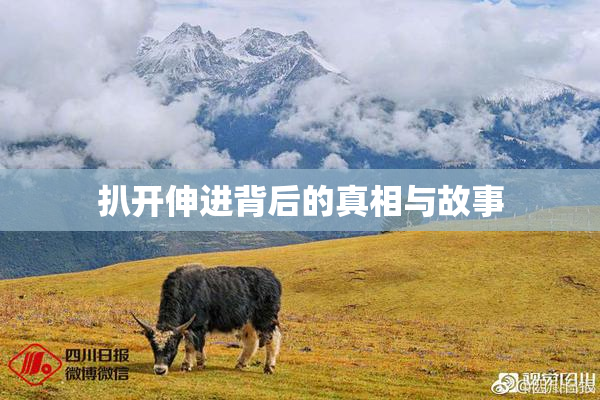 扒开伸进背后的真相与故事