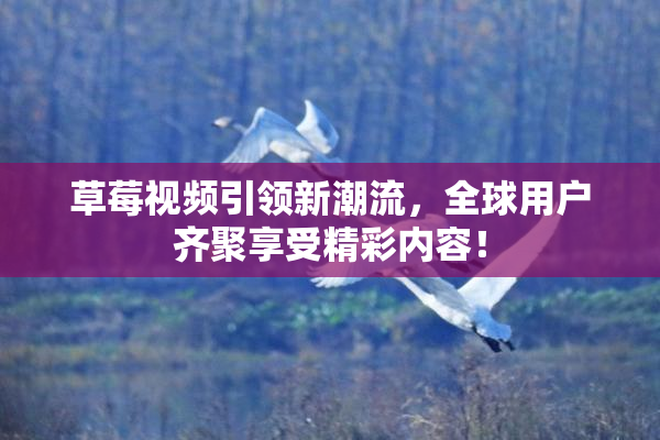草莓视频引领新潮流，全球用户齐聚享受精彩内容！