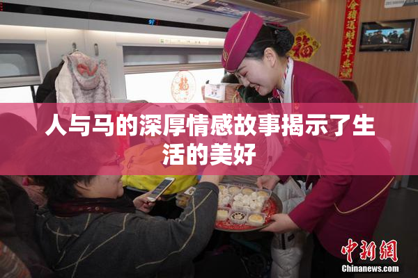 人与马的深厚情感故事揭示了生活的美好