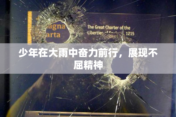 少年在大雨中奋力前行，展现不屈精神