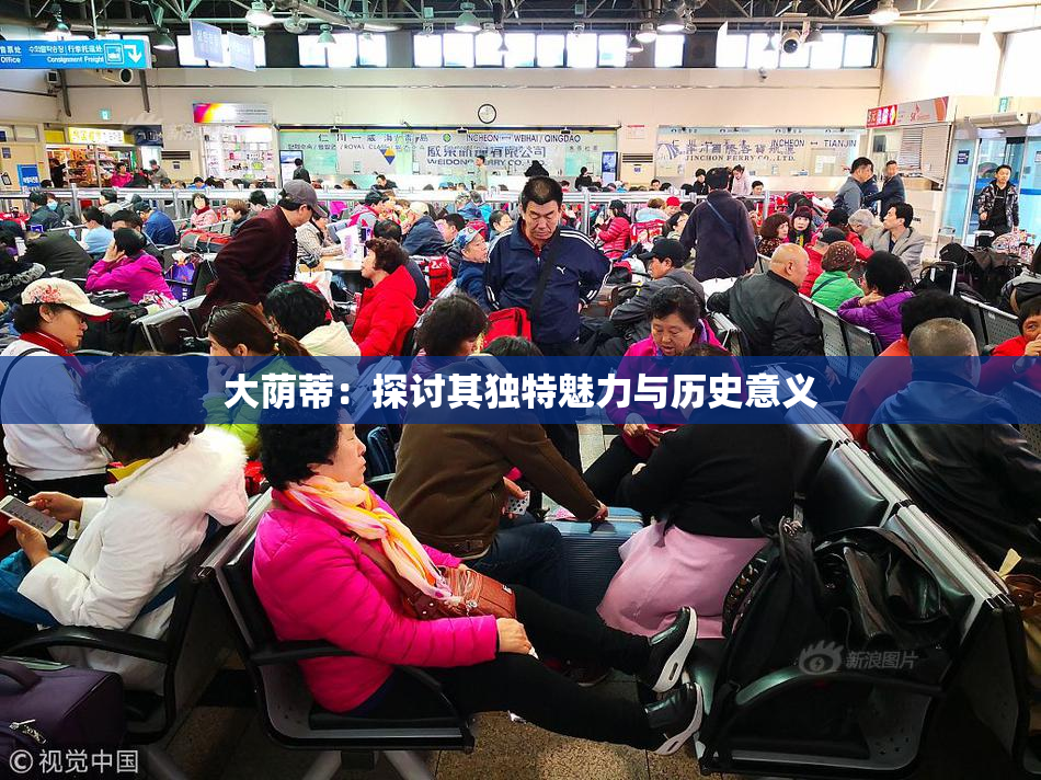 大荫蒂：探讨其独特魅力与历史意义