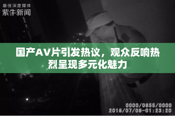 国产AV片引发热议，观众反响热烈呈现多元化魅力
