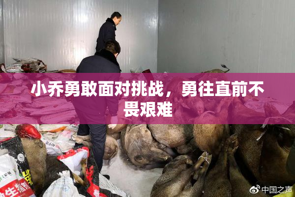 小乔勇敢面对挑战，勇往直前不畏艰难