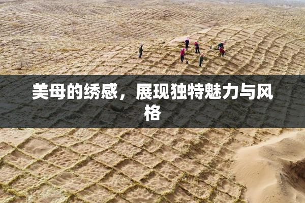 美母的绣感，展现独特魅力与风格