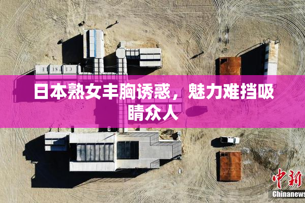 日本熟女丰胸诱惑，魅力难挡吸睛众人