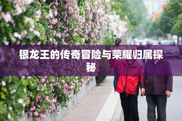 银龙王的传奇冒险与荣耀归属探秘