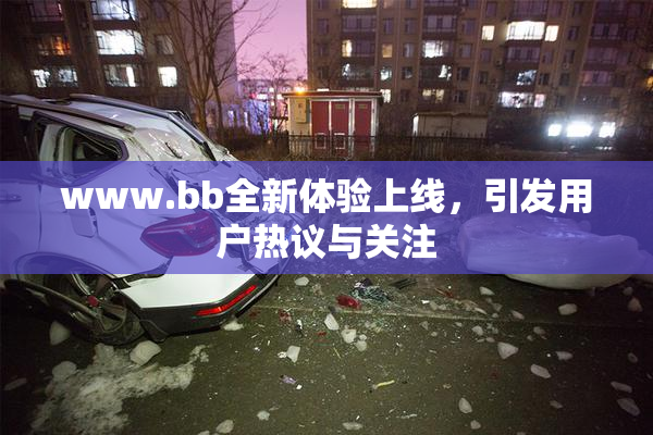 www.bb全新体验上线，引发用户热议与关注