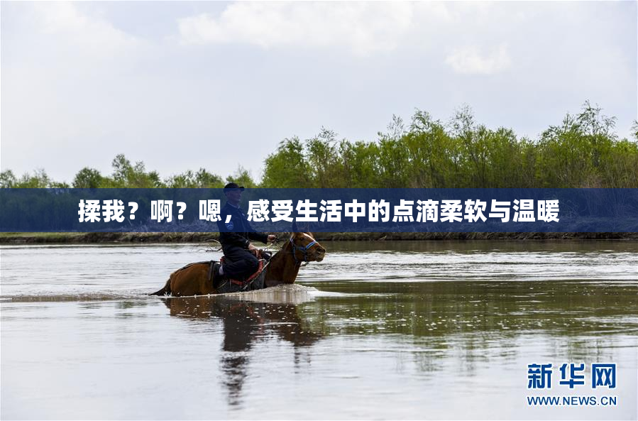 揉我？啊？嗯，感受生活中的点滴柔软与温暖