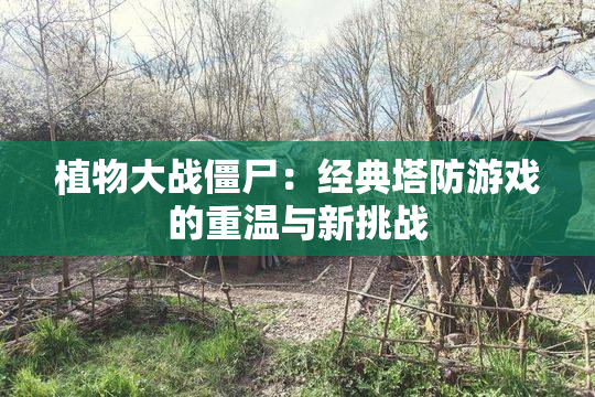 植物大战僵尸：经典塔防游戏的重温与新挑战
