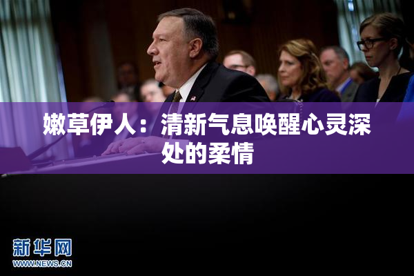 嫩草伊人：清新气息唤醒心灵深处的柔情
