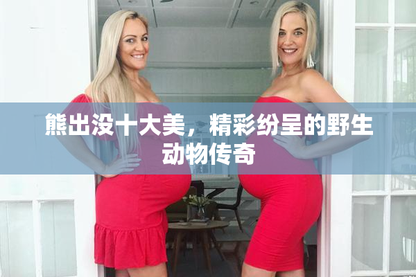 熊出没十大美，精彩纷呈的野生动物传奇
