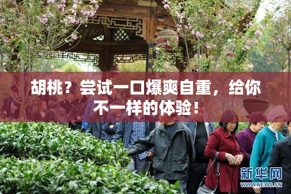 胡桃？尝试一口爆爽自重，给你不一样的体验！