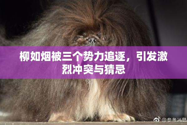 柳如烟被三个势力追逐，引发激烈冲突与猜忌