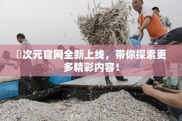 囧次元官网全新上线，带你探索更多精彩内容！