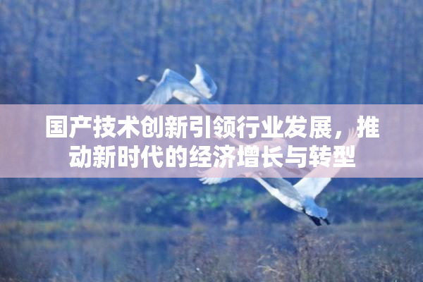 国产技术创新引领行业发展，推动新时代的经济增长与转型