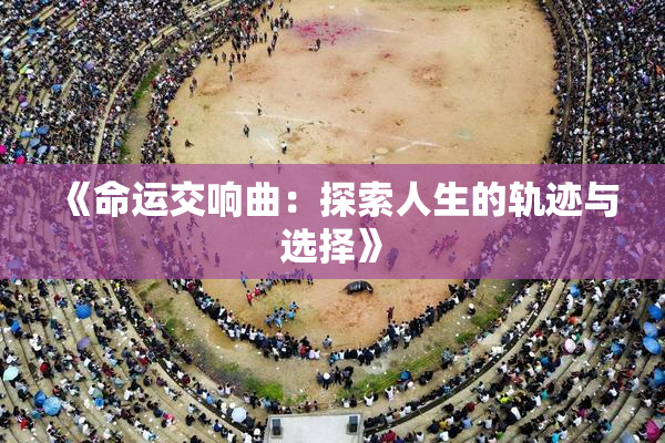 《命运交响曲：探索人生的轨迹与选择》