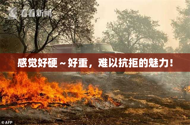 感觉好硬～好重，难以抗拒的魅力！