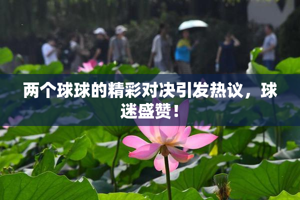 两个球球的精彩对决引发热议，球迷盛赞！