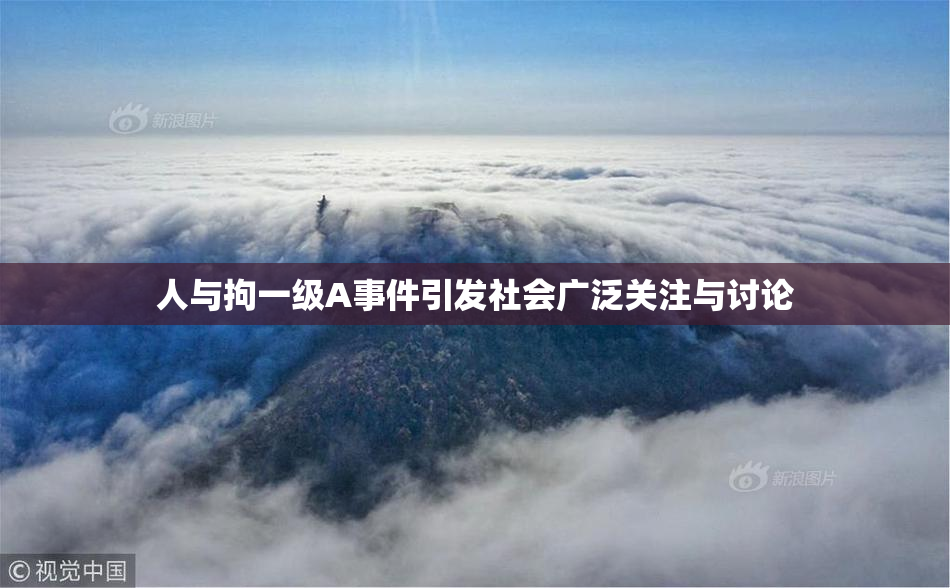 人与拘一级A事件引发社会广泛关注与讨论