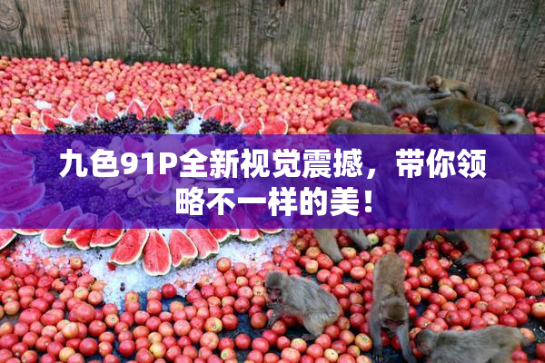 九色91P全新视觉震撼，带你领略不一样的美！